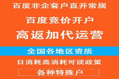 百度竞价公司运营策略：成功案例解析